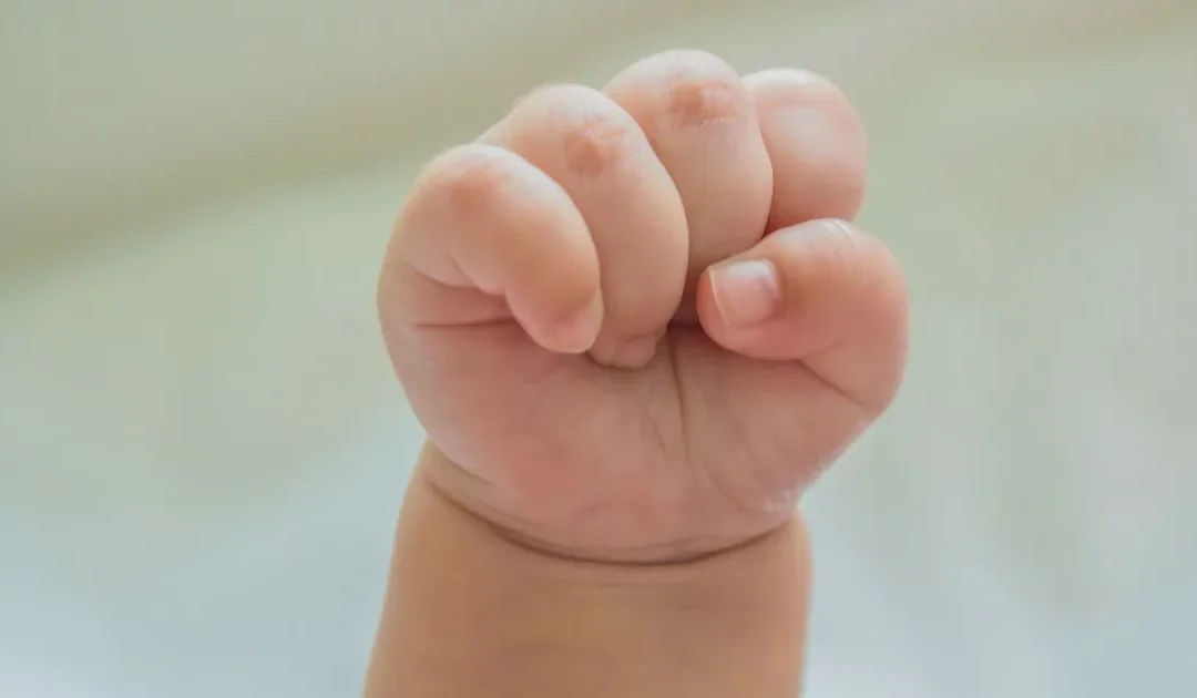 Update: Etappensieg gegen die Babyhandels-Lobby