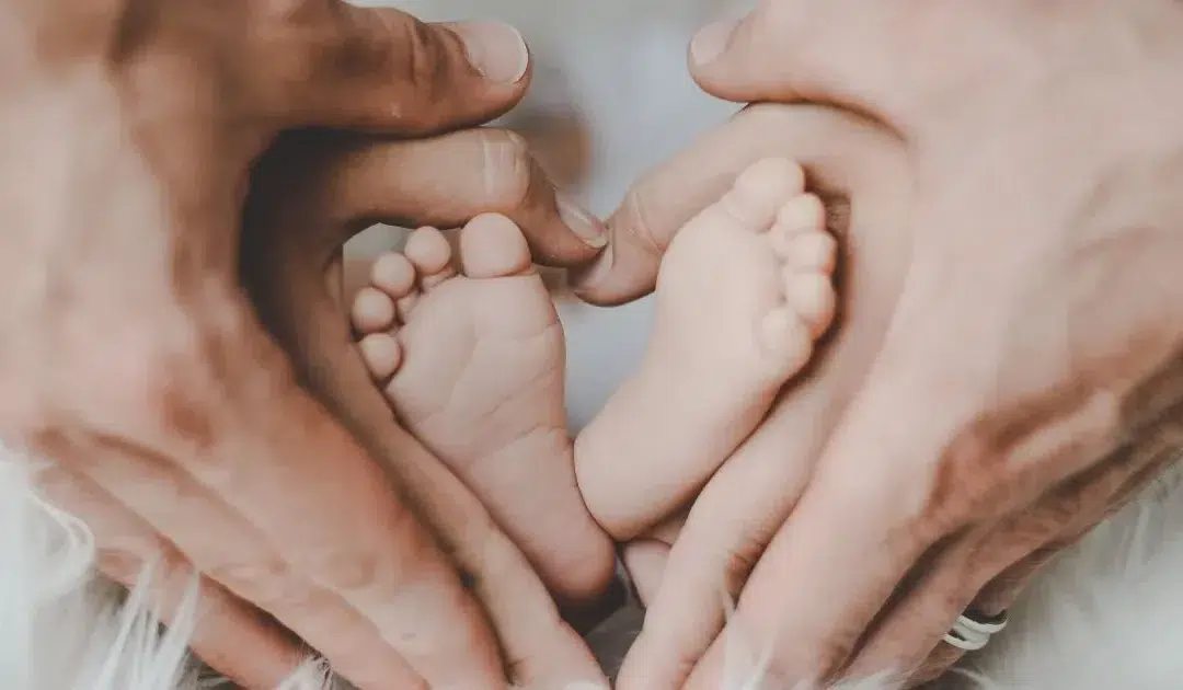 Update: Testbesuche bestätigen unsere Sorge: strafbare Vermittlung & Werbung für Leihmutterschaft auf „Wish for a Baby“