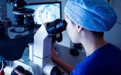 Update: Prüfen wir eine UWG-Klage gegen illegale Werbung auf Kinderwunschmessen?