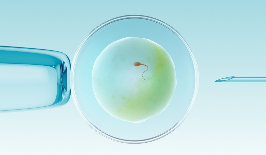 Illegale Surrogacy-Werbung in Deutschland?