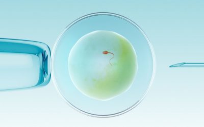 Illegale Surrogacy-Werbung in Deutschland?